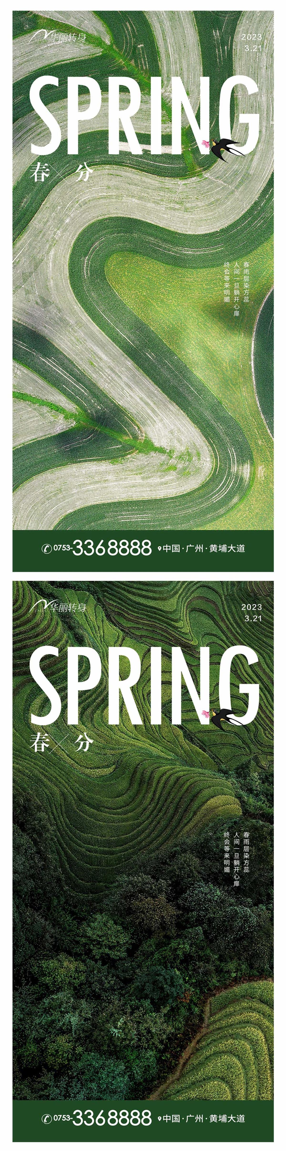 春分立春节气海报