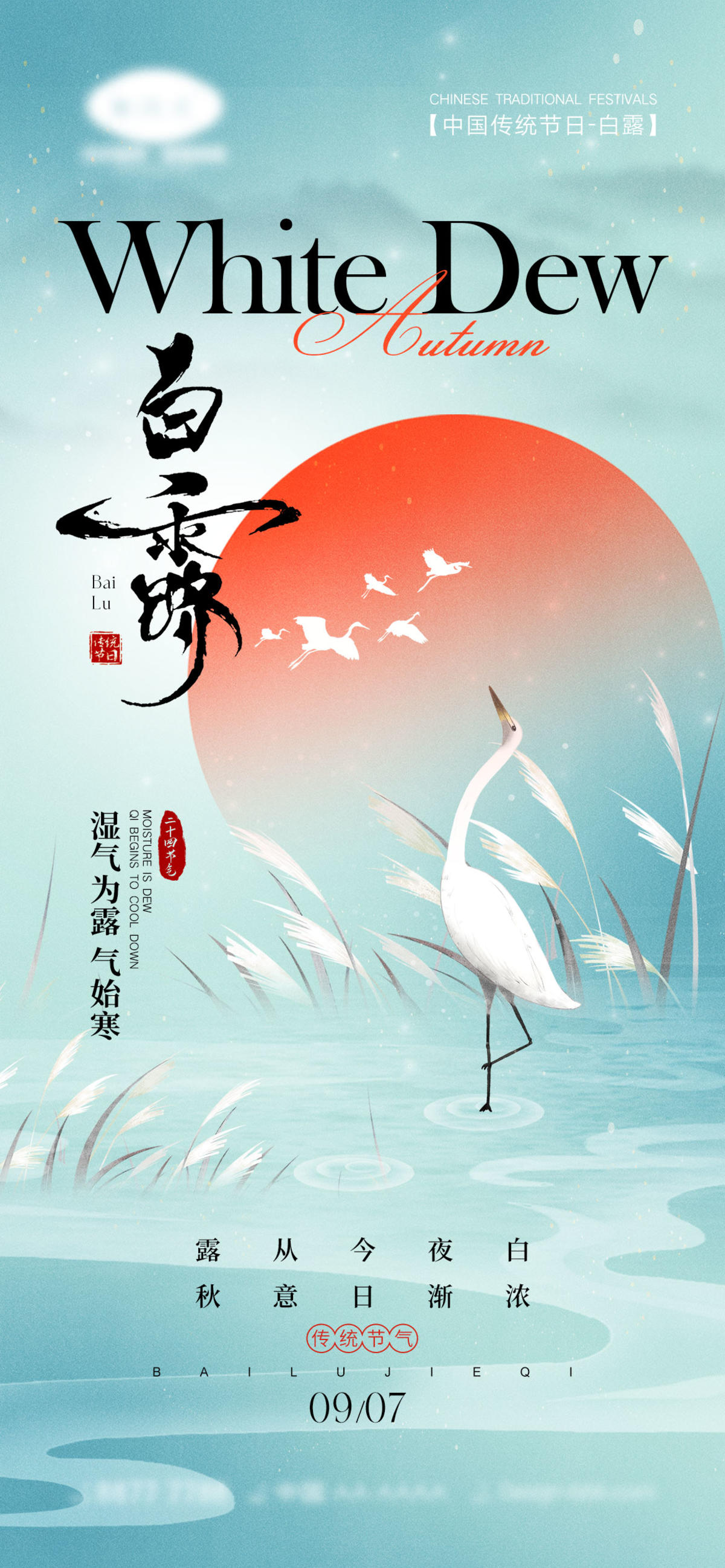 白露节气海报