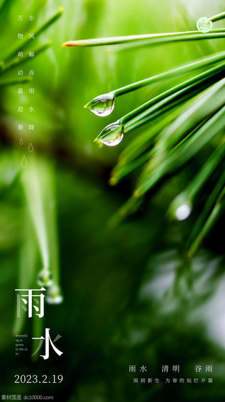 雨水白露竹叶蜻蜓节气海报 - 源文件