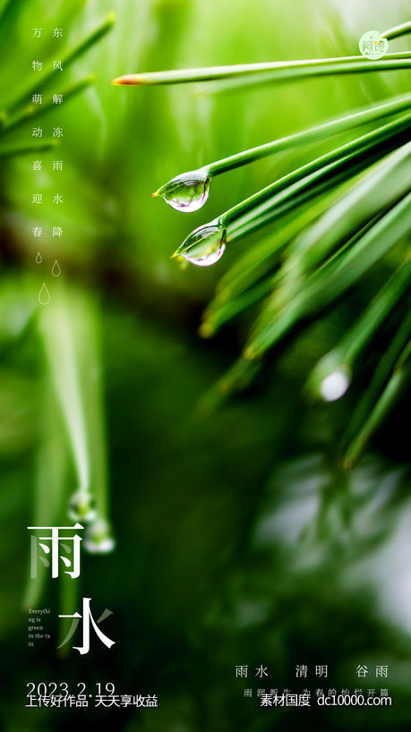 雨水白露竹叶蜻蜓节气海报-源文件-素材国度dc10000.com