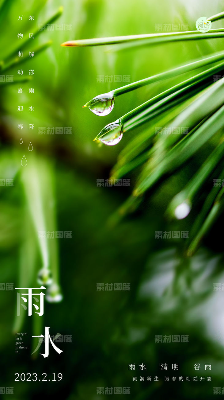 雨水白露竹叶蜻蜓节气海报