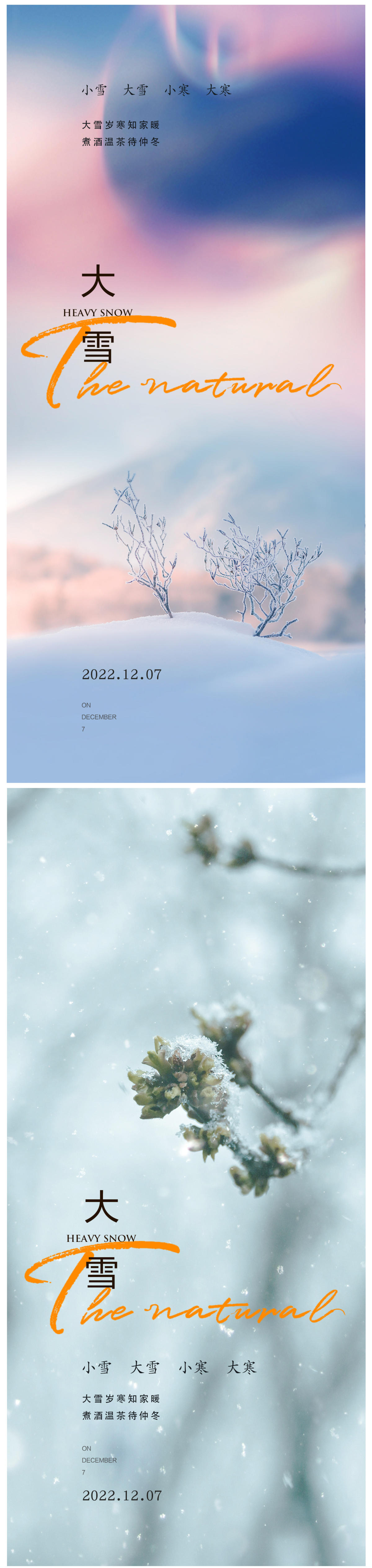 大雪节气海报