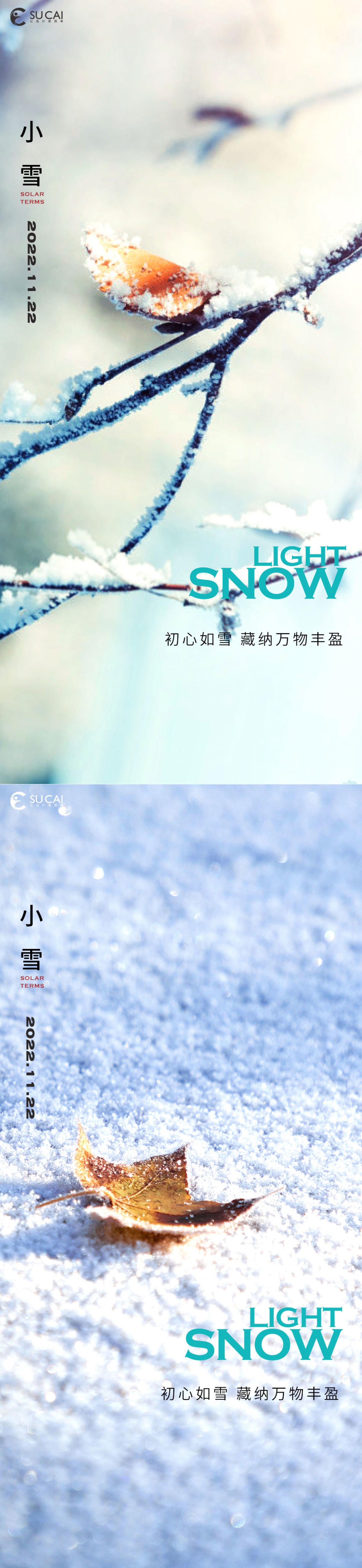 小雪