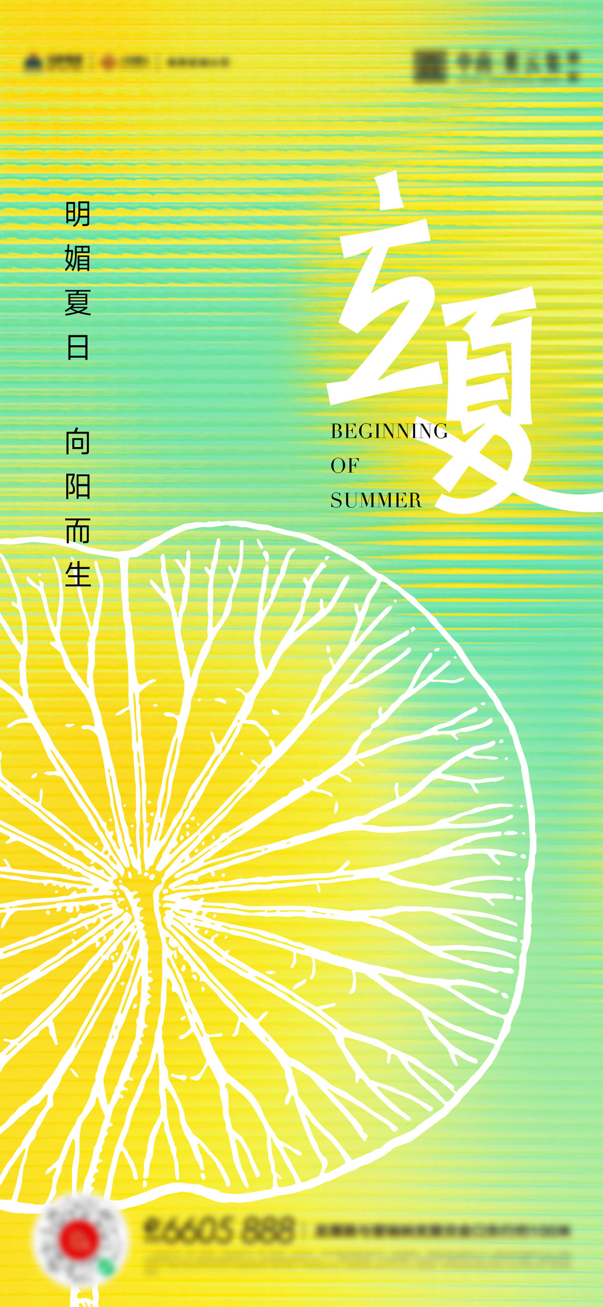 立夏夏至小满海报