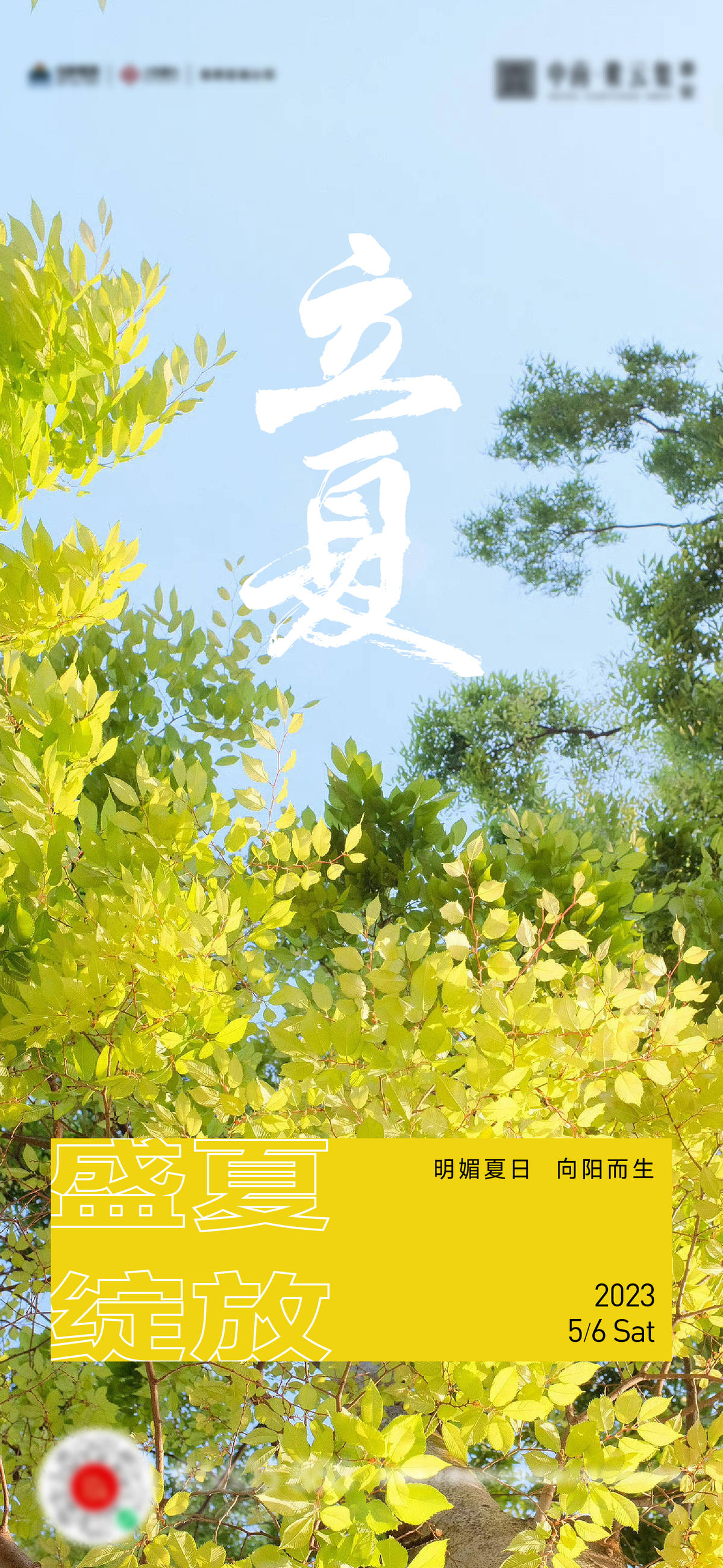 立夏夏至小满海报