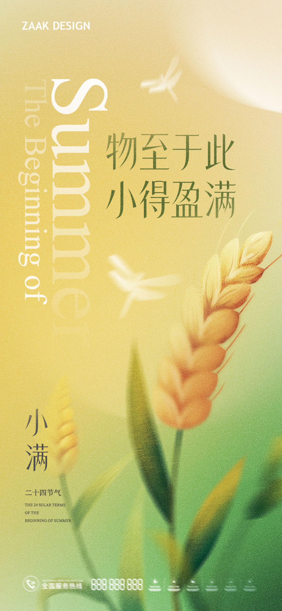 小满节气海报