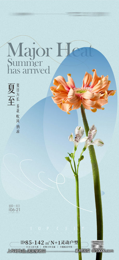 夏至海报立夏夏天-源文件-素材国度dc10000.com