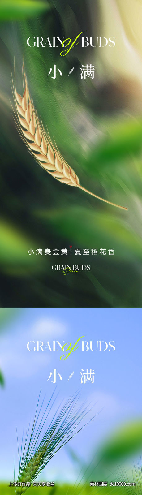 地产美业二十四节气小满海报-源文件-素材国度dc10000.com
