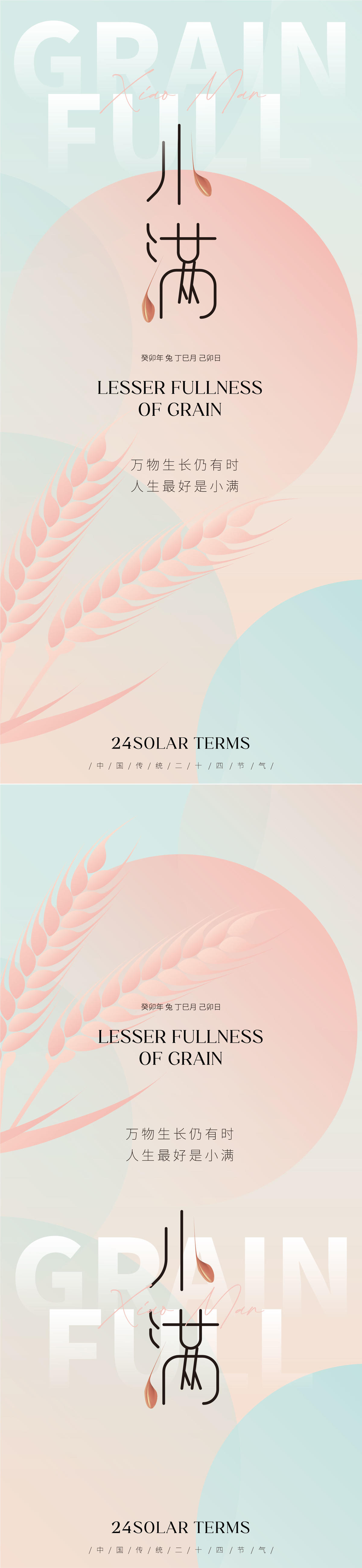 地产美业小满矢量节气海报