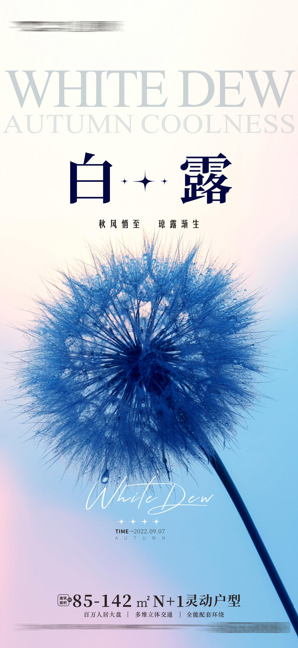 白露海报寒露海报 