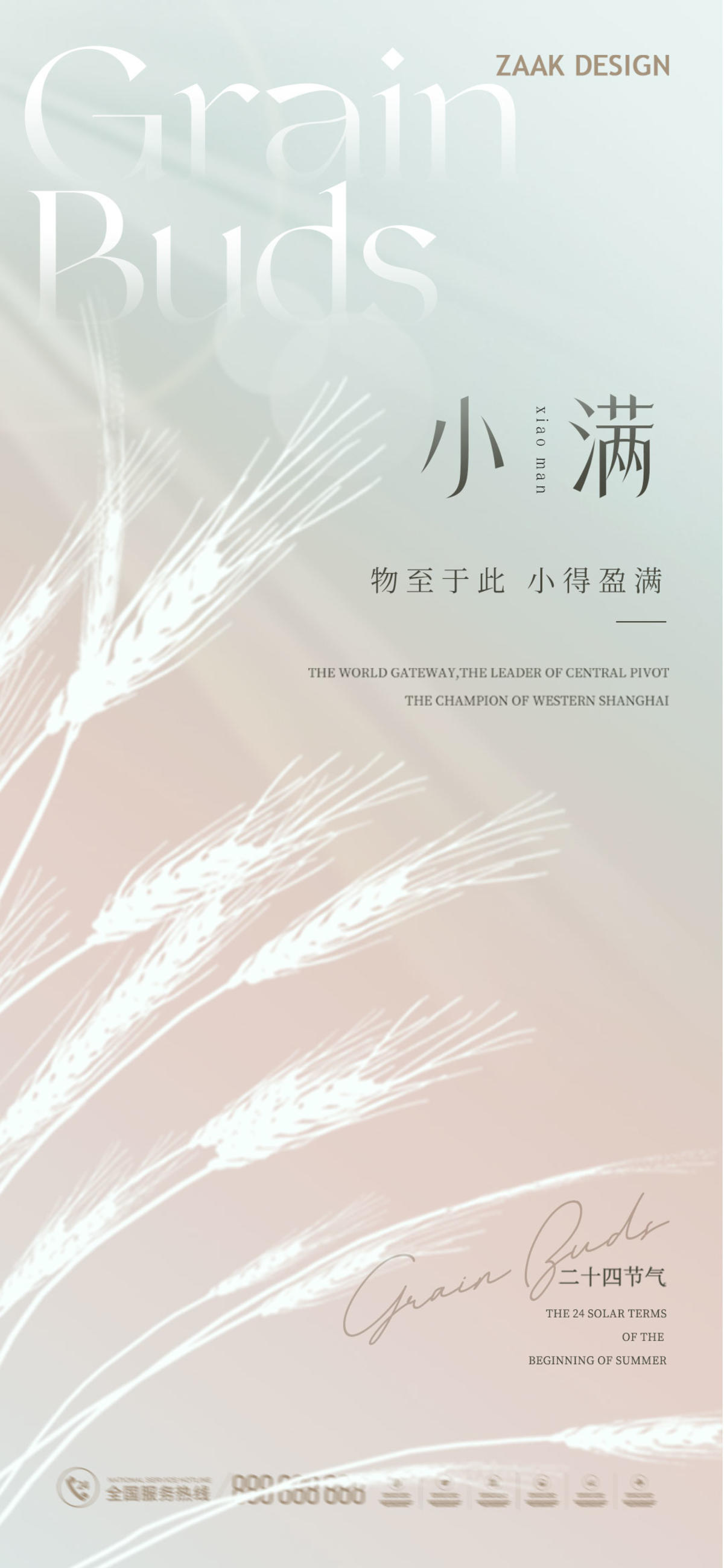 小满节气海报