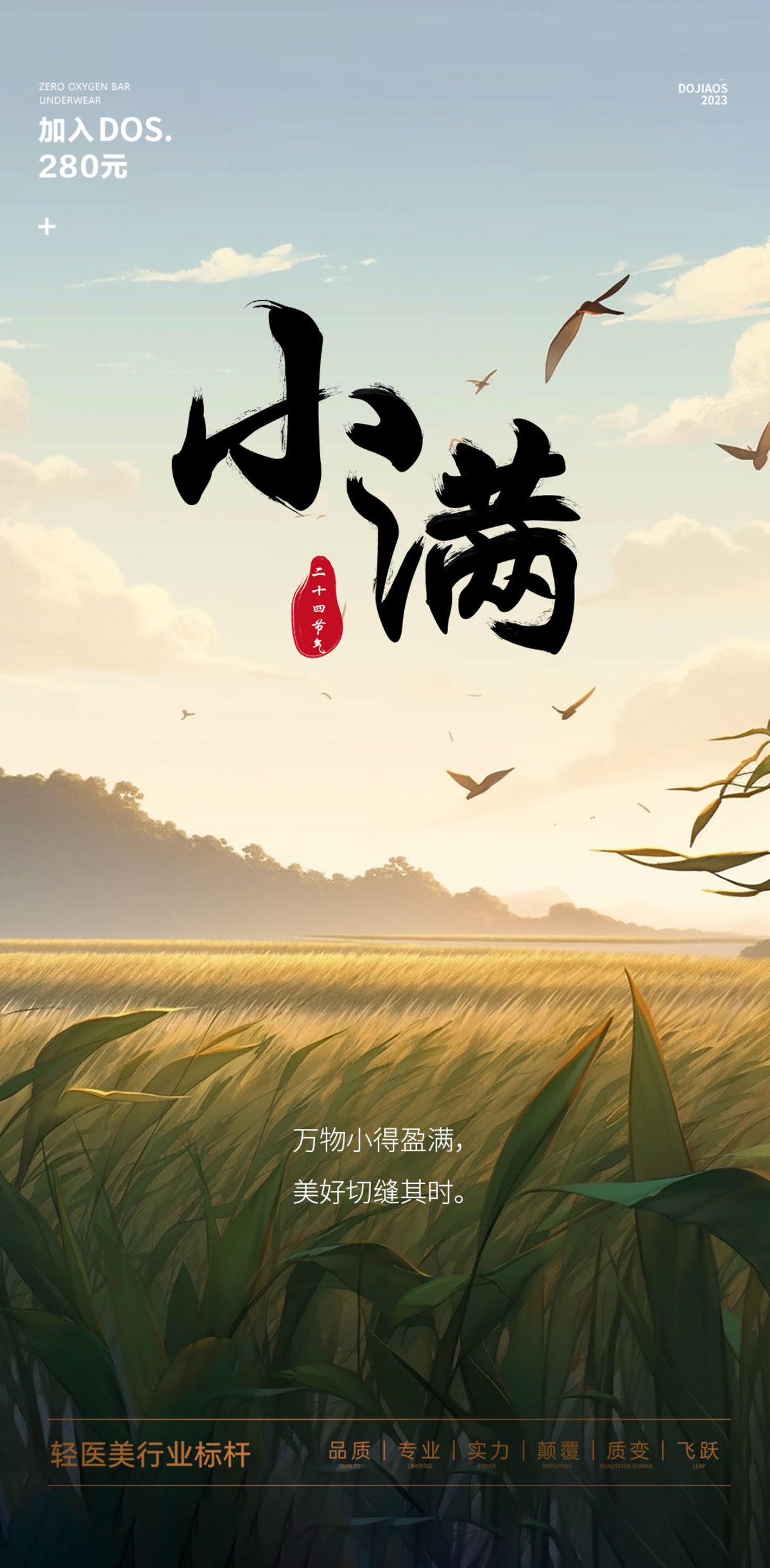 小满芒种圈图海报