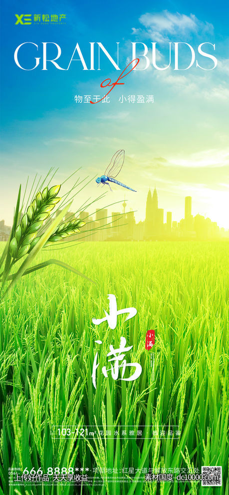 地产小满节气海报-源文件-素材国度dc10000.com
