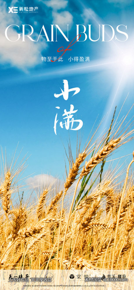 地产小满节气海报-源文件-素材国度dc10000.com