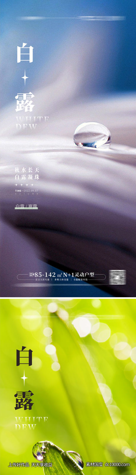 地产白露寒露海报 露珠海报-源文件-素材国度dc10000.com