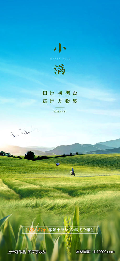 小满节气海报-源文件-素材国度dc10000.com
