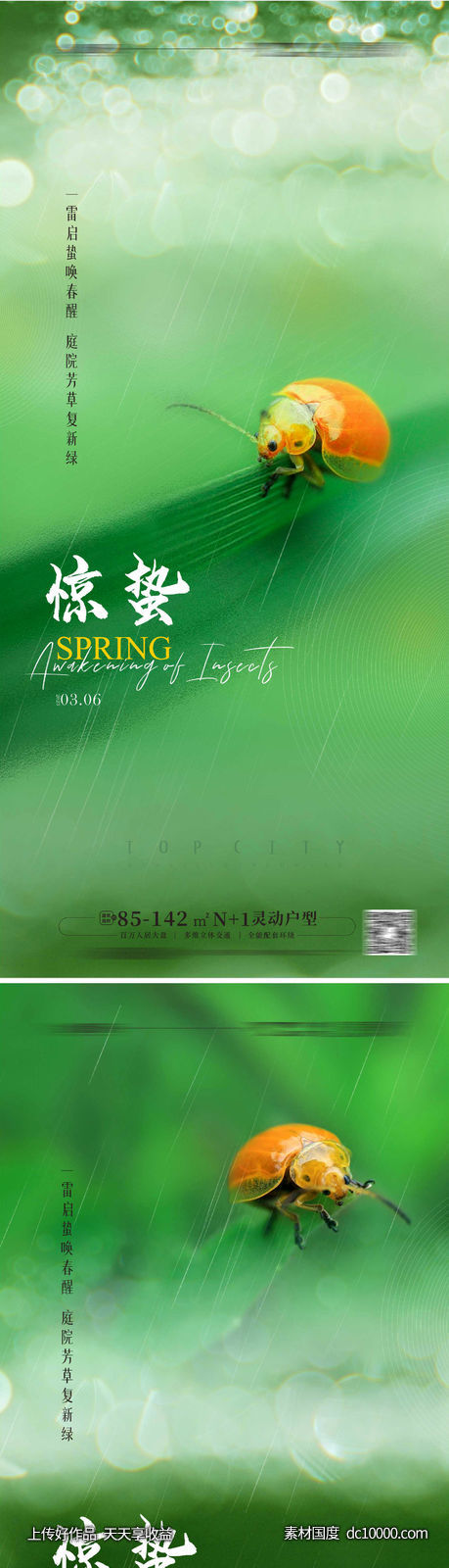 惊蛰海报-源文件-素材国度dc10000.com