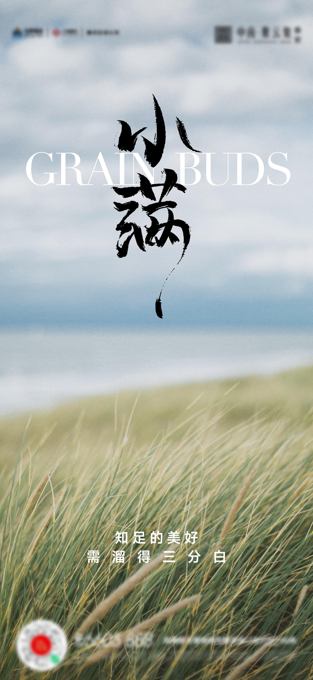 小满芒种夏至海报
