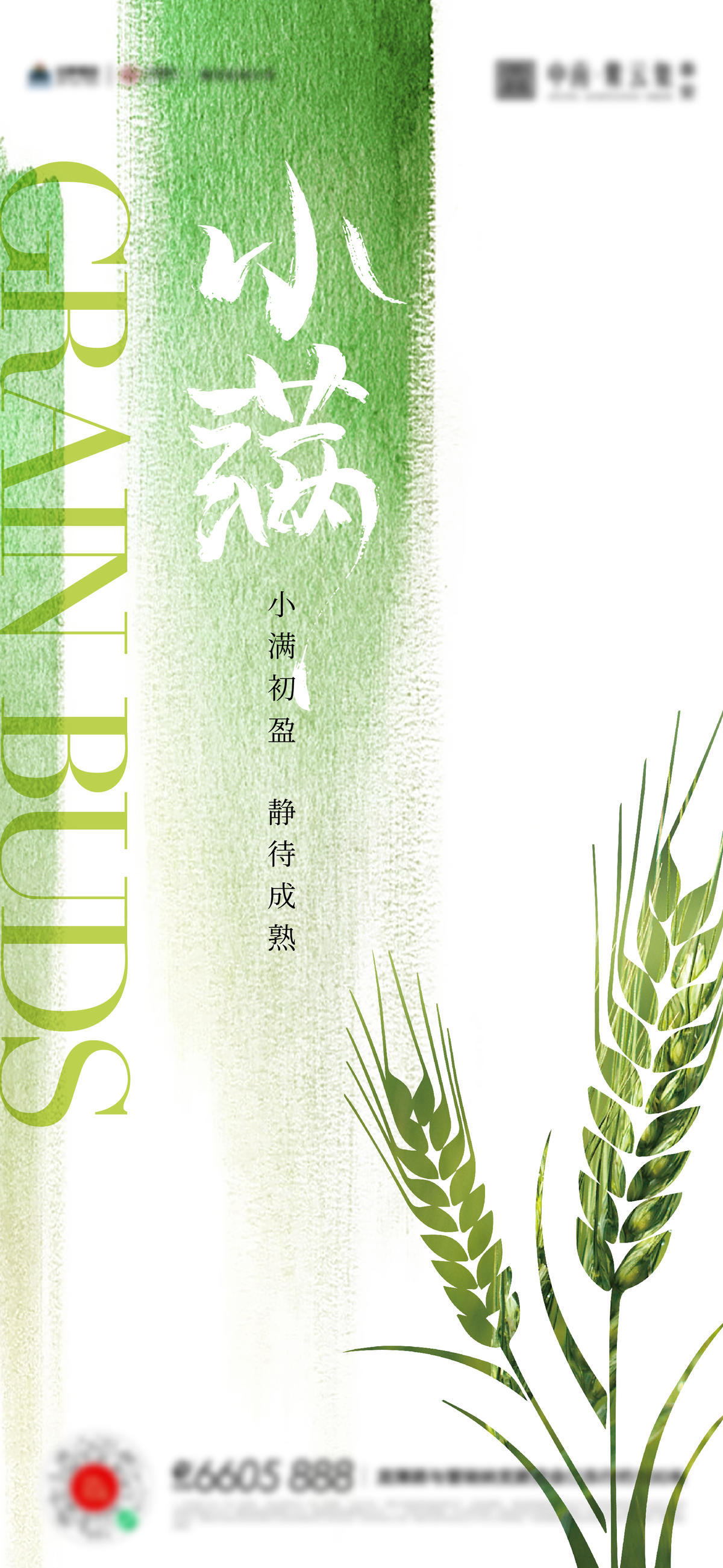 小满芒种夏至海报