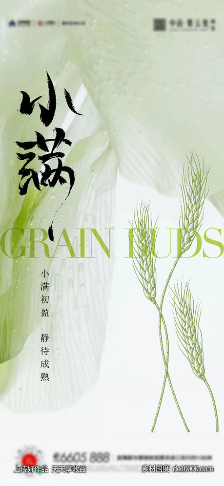 小满芒种夏至海报-源文件-素材国度dc10000.com