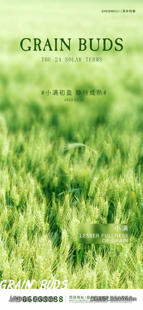 小满节气海报-源文件-素材国度dc10000.com