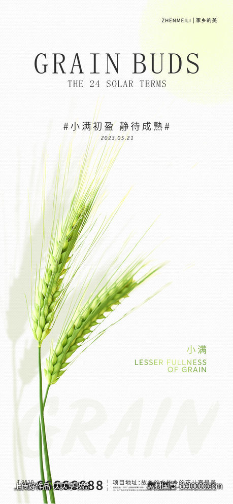 小满节气海报-源文件-素材国度dc10000.com