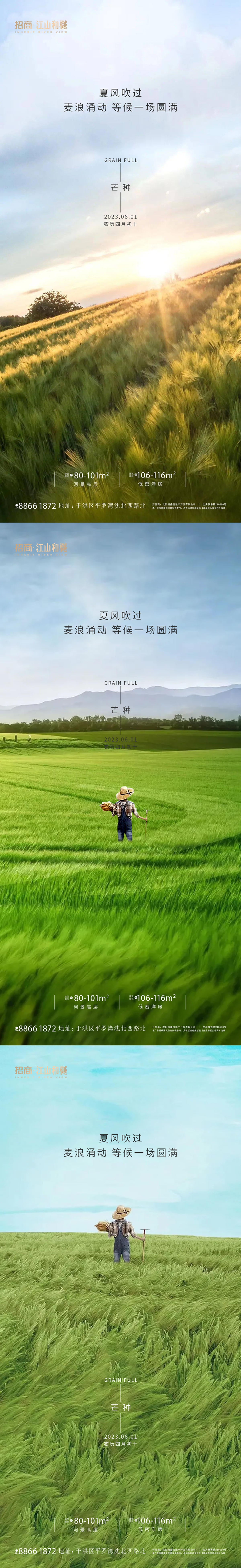 芒种