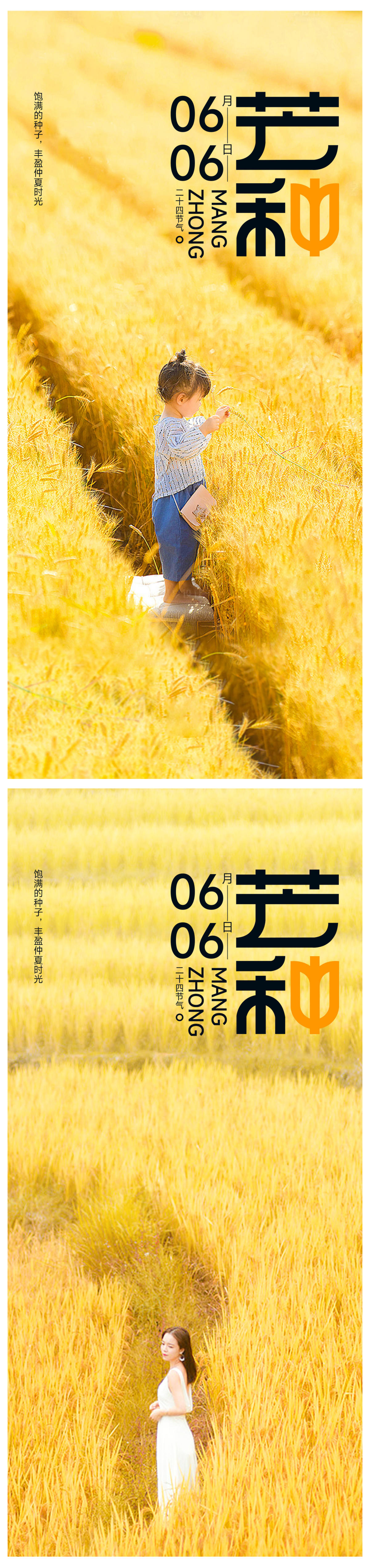 芒种海报