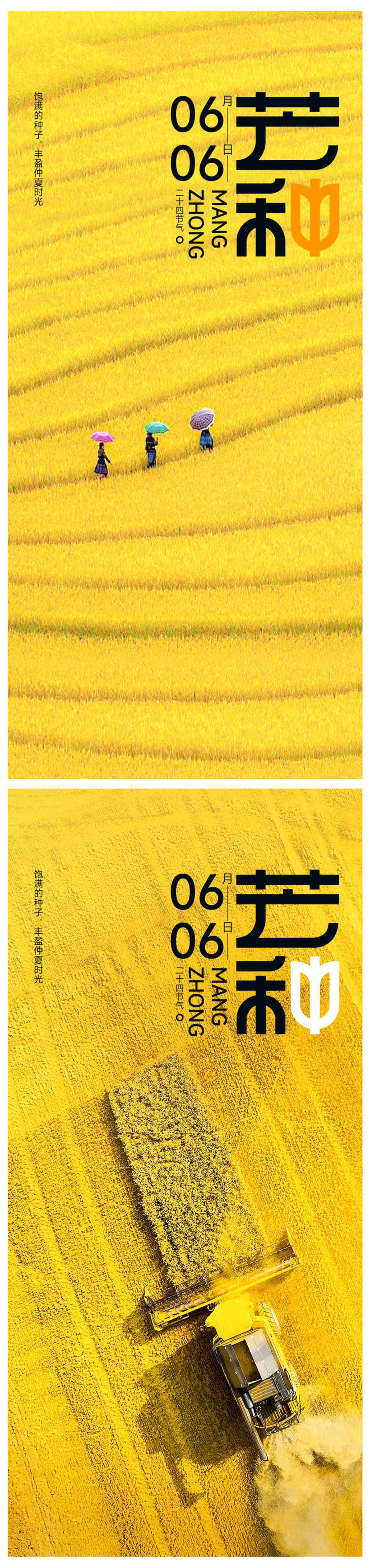 芒种海报
