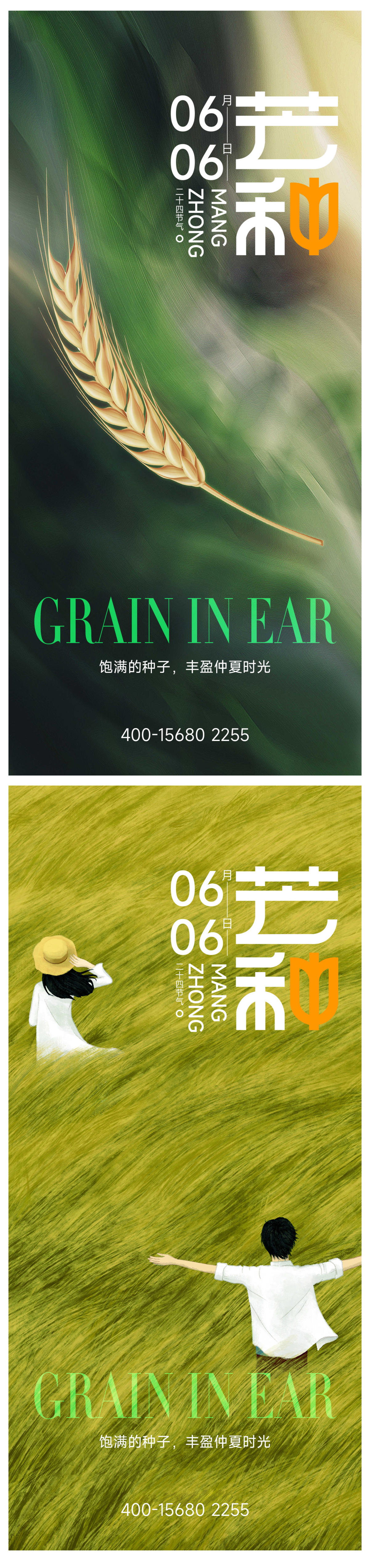 芒种