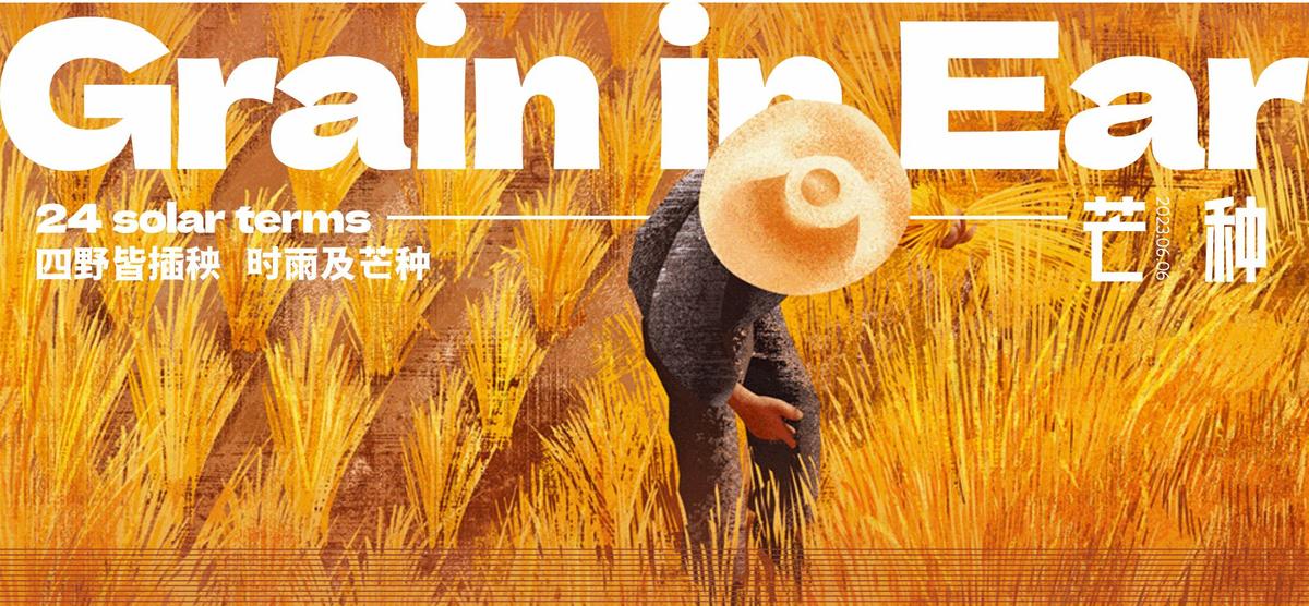 芒种小满节气海报