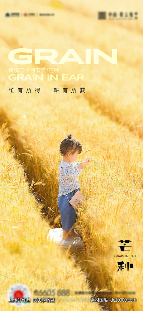 芒种小满立秋海报-源文件-素材国度dc10000.com