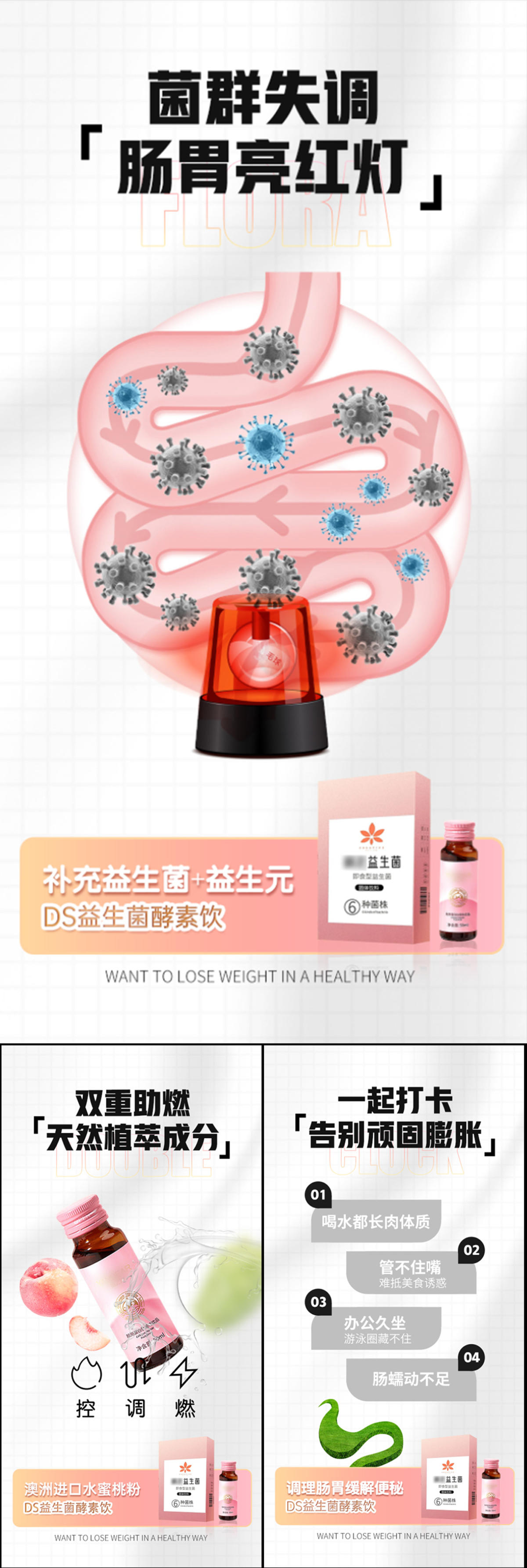 益生菌酵素减肥轻体大餐燕窝圈图海报