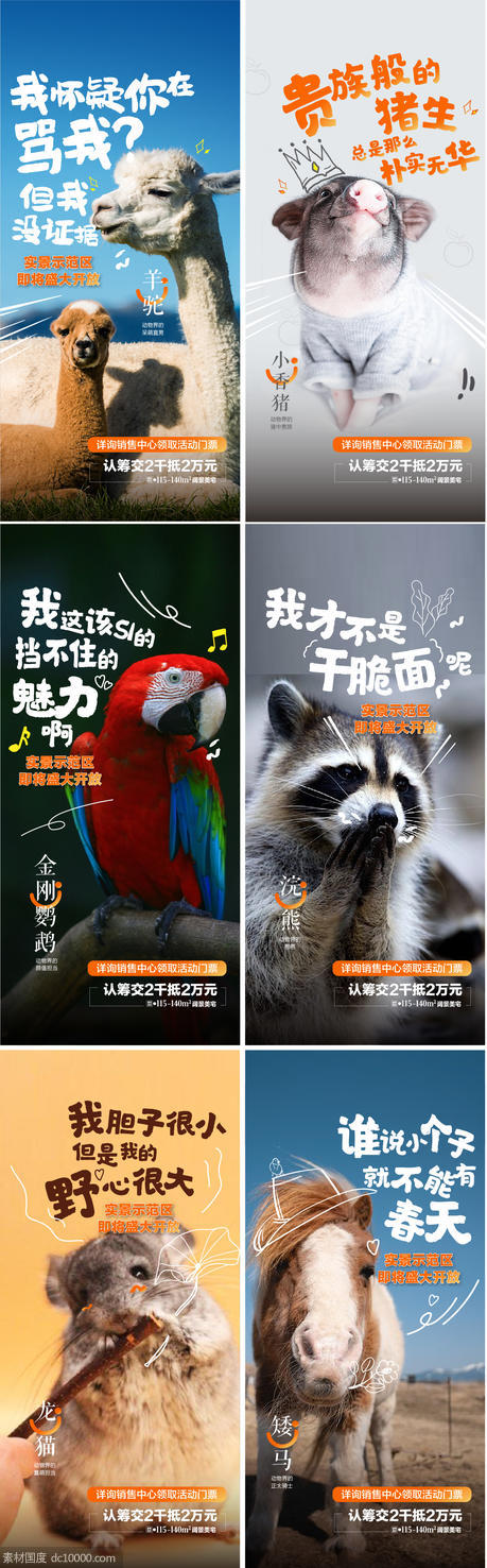 动物园动物说羊驼香猪鹦鹉浣熊龙猫暖场活动 - 源文件
