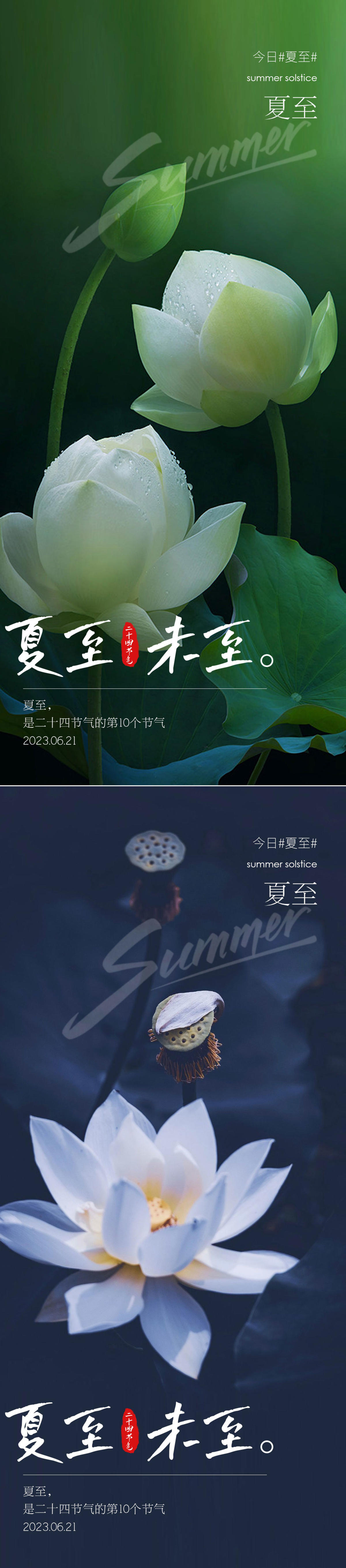 夏至节气海报