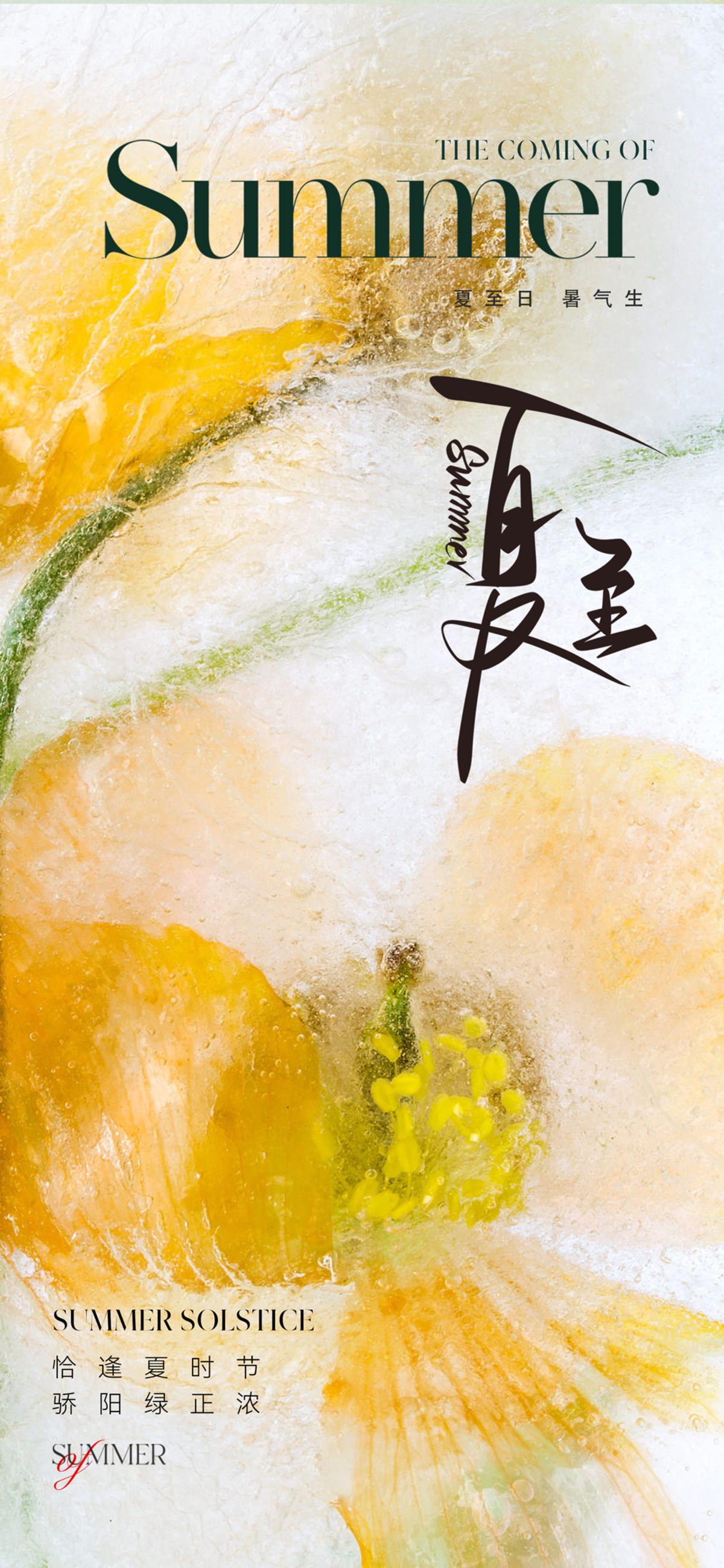 地产美业夏至节气海报