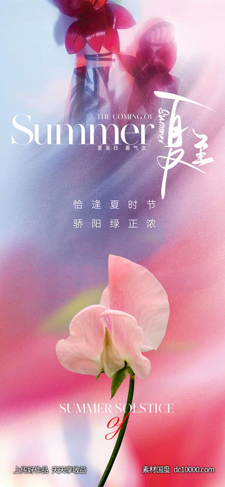 唯美清新夏至节气海报 - 源文件