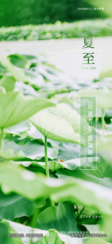 夏至节气海报-源文件-素材国度dc10000.com