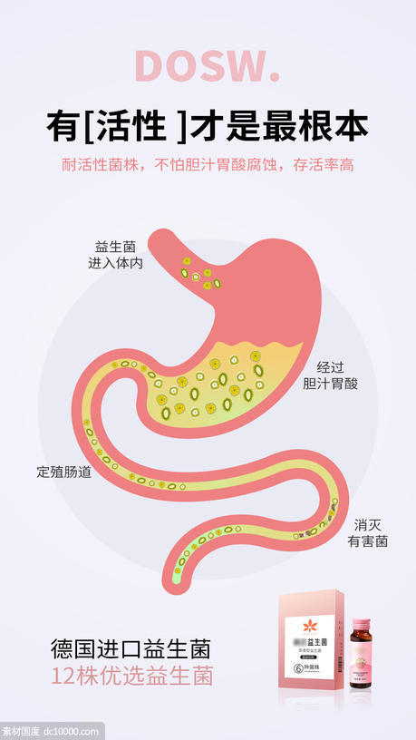 益生菌酵素减肥塑身肠道圈图海报 - 源文件