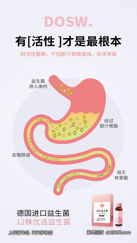 益生菌酵素减肥塑身肠道圈图海报-源文件-素材国度dc10000.com