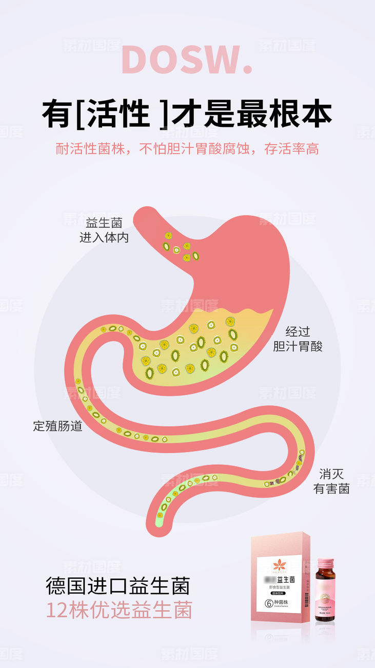 益生菌酵素减肥塑身肠道圈图海报