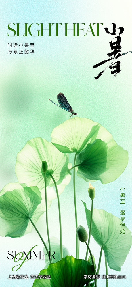 地产医美小暑节气海报-源文件-素材国度dc10000.com