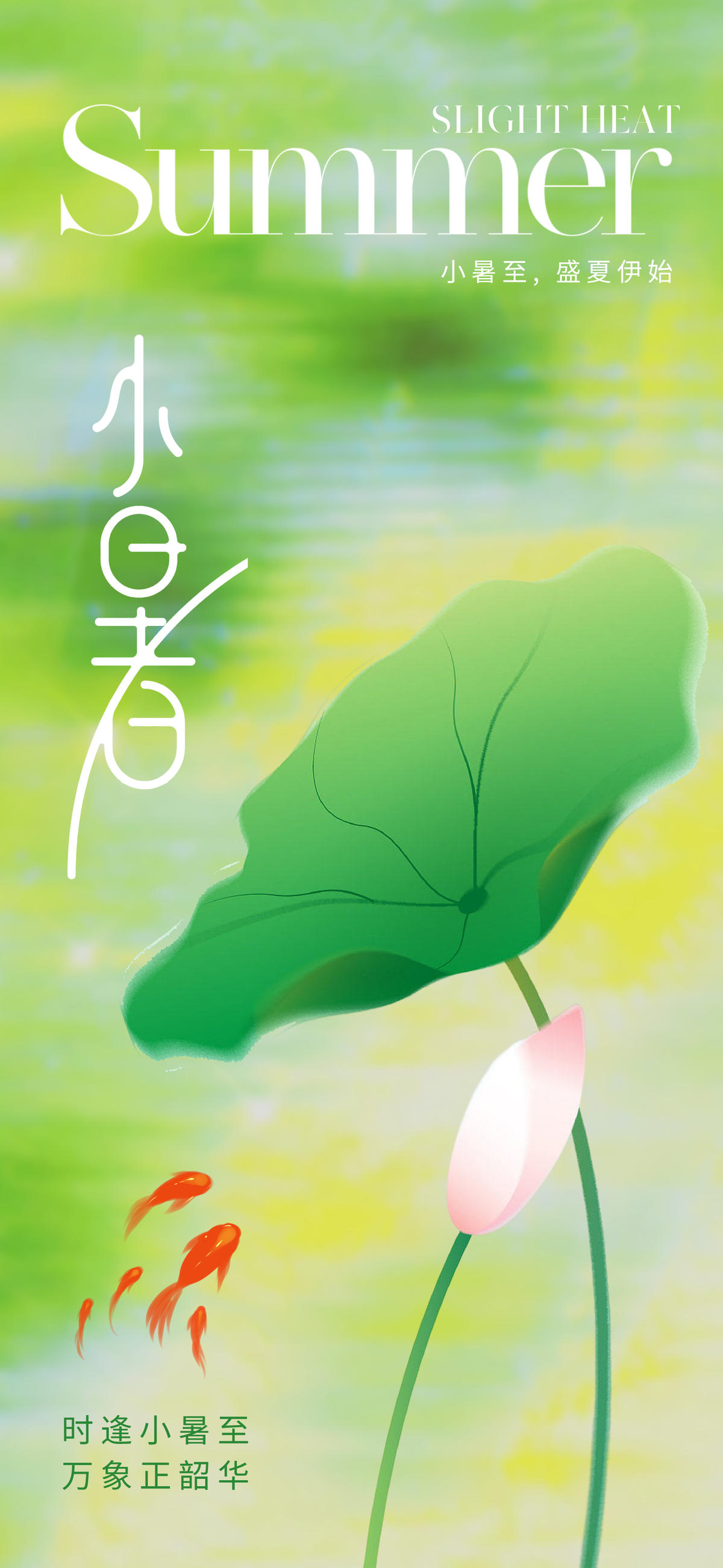 唯美清新小暑节气海报
