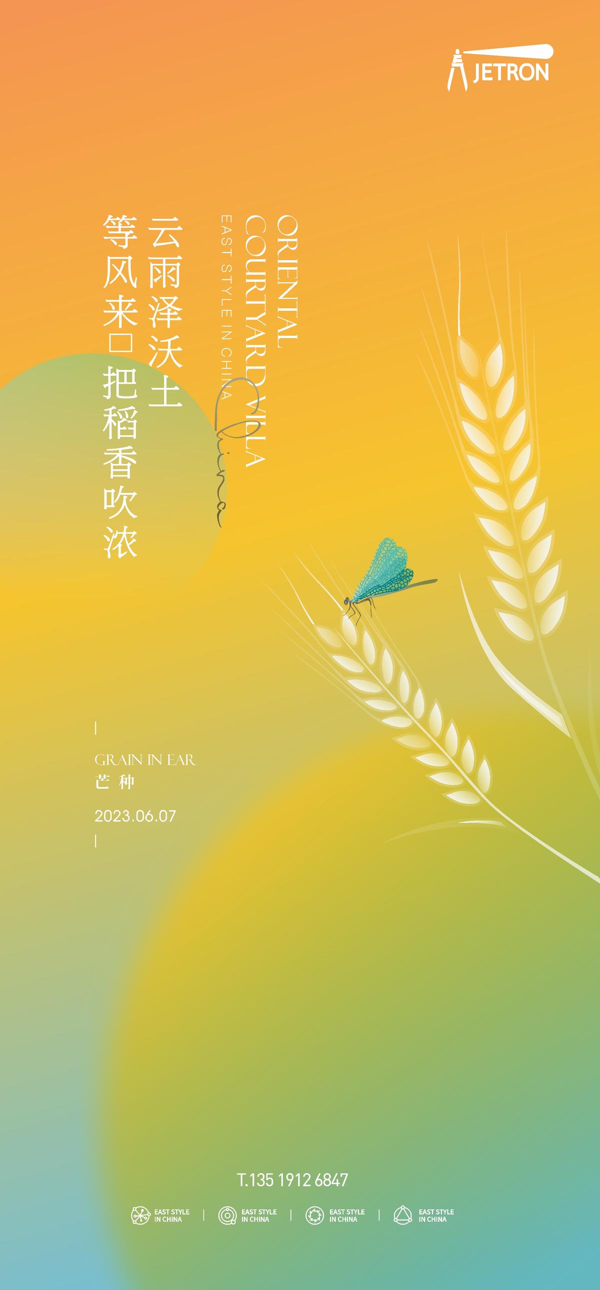 芒种节气