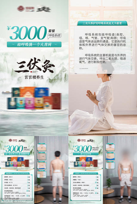 中式国潮三伏灸三伏养生保健产品海报 - 源文件