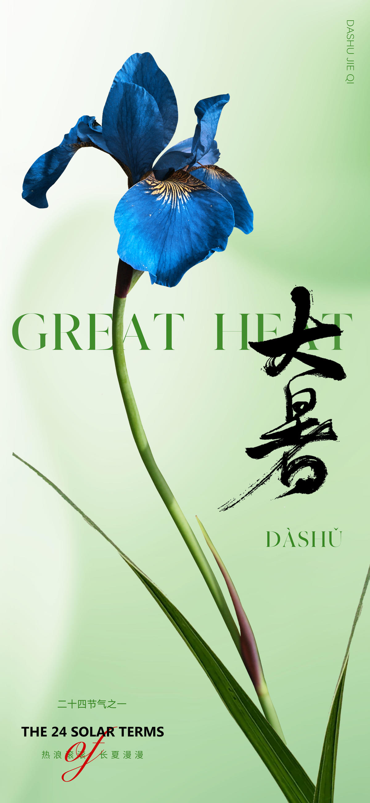 地产美业唯美大暑节气海报