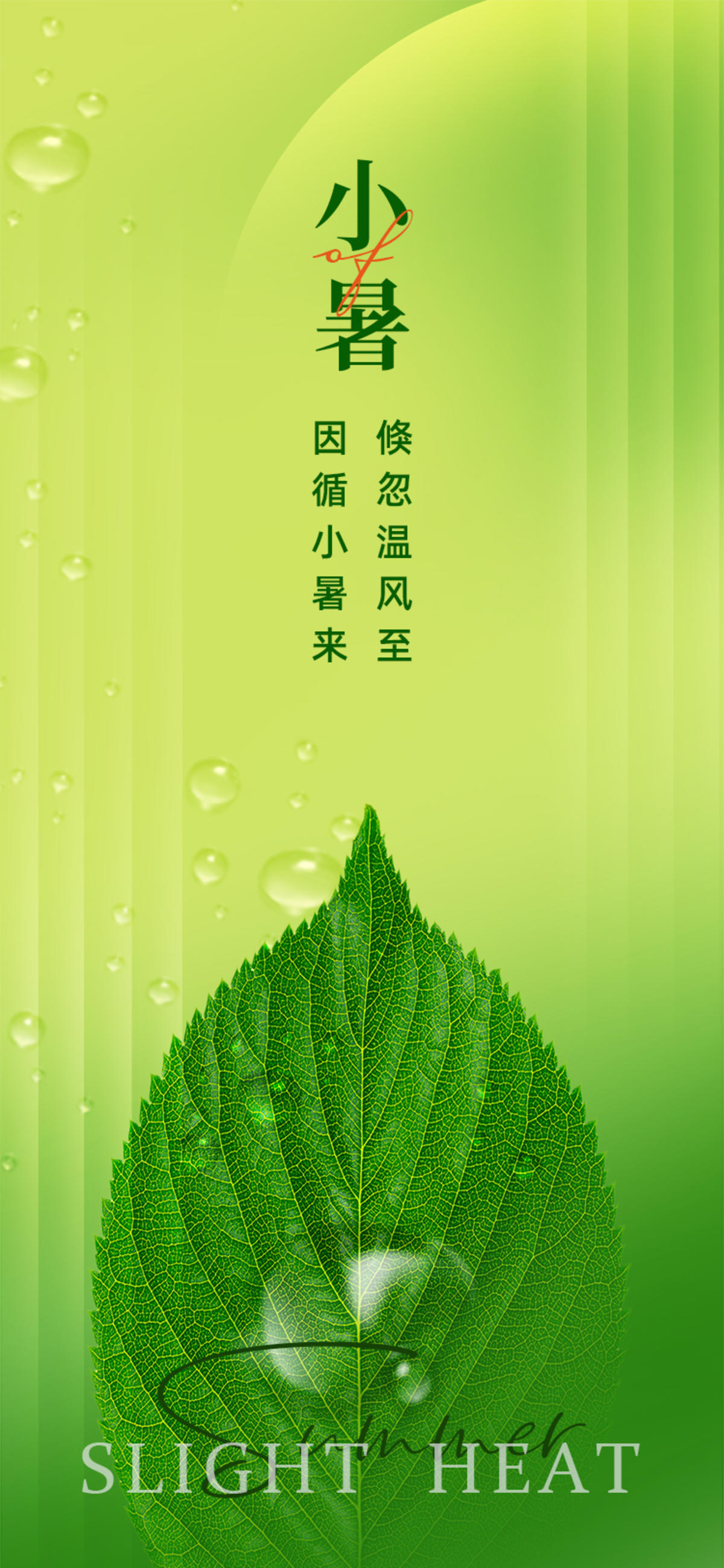 小暑节气至