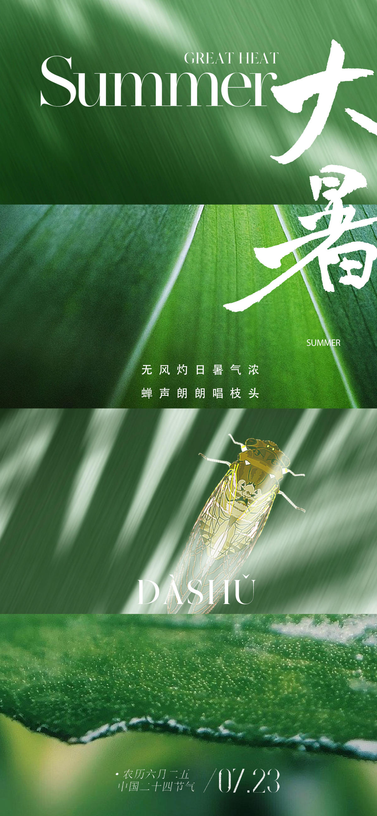 简约现代大暑节气海报