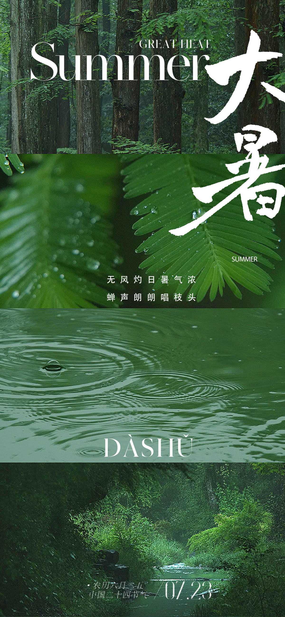 现代唯美清新大暑节气海报
