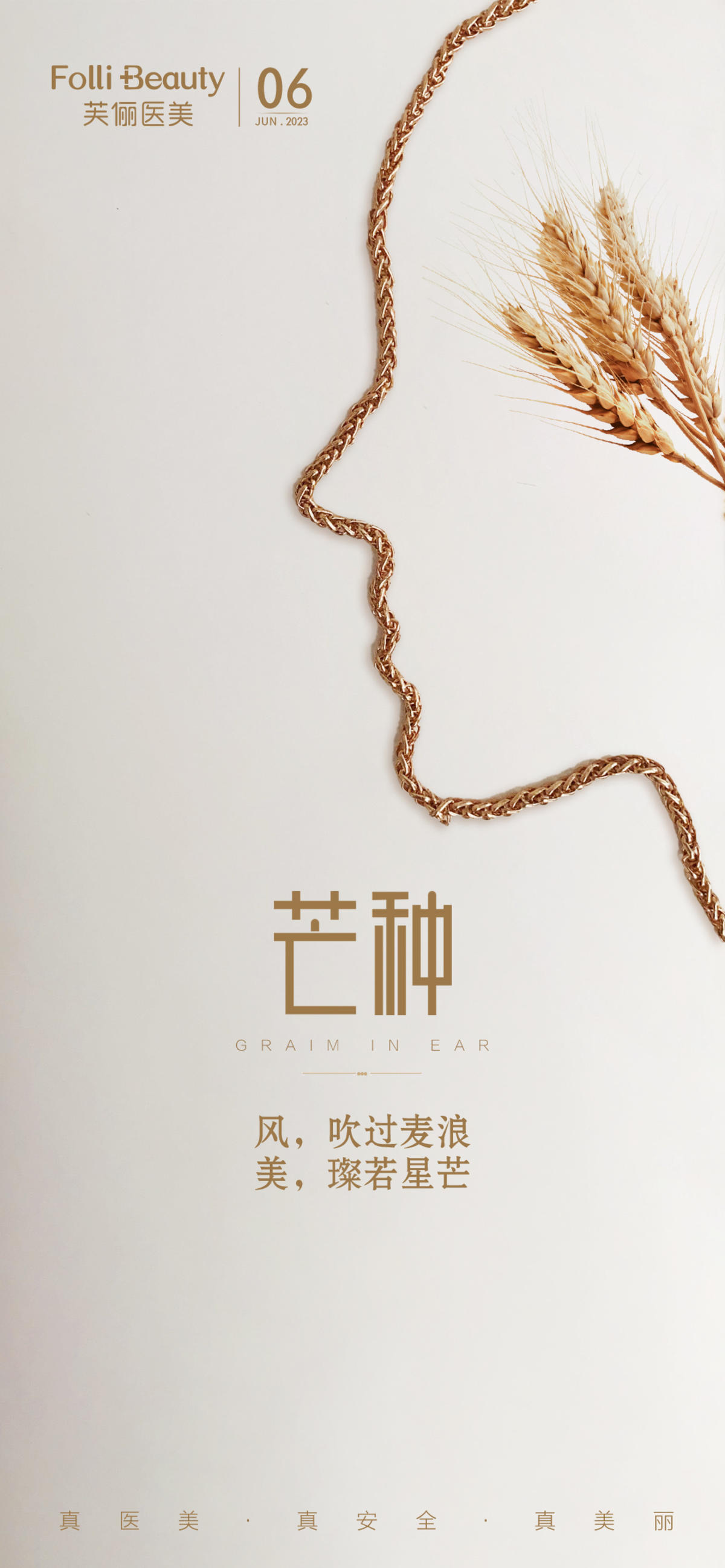 医美芒种节气海报